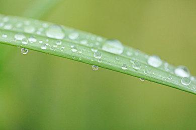 四人合作冒险《舍伍德侠盗团》预购豪华版现可开始游玩